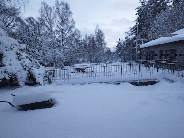 the Cairngorms from the front window(gap in the trees!)