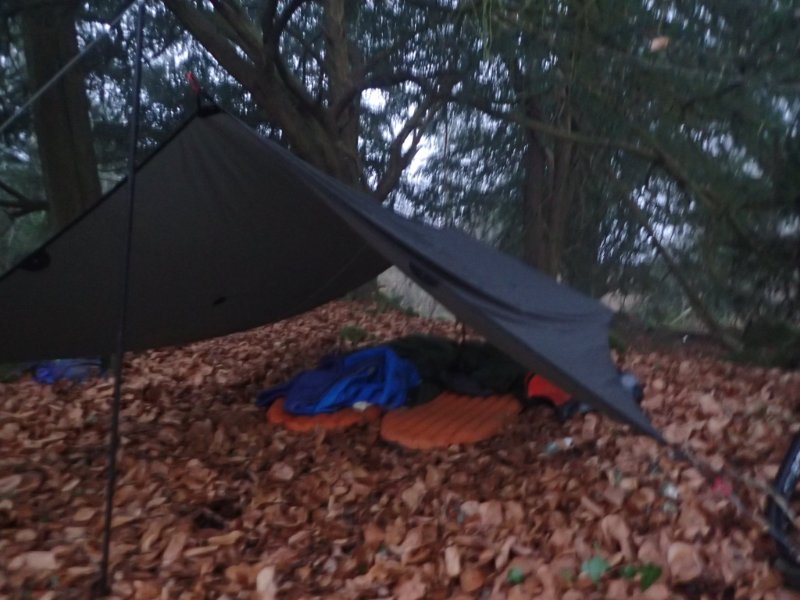 P1290324.JPG