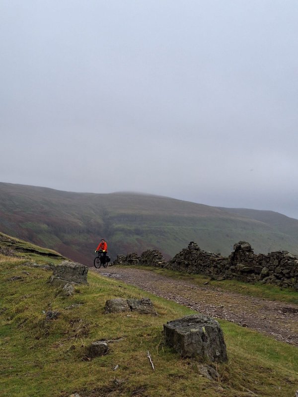 IMG-20241102-WA0010.jpg