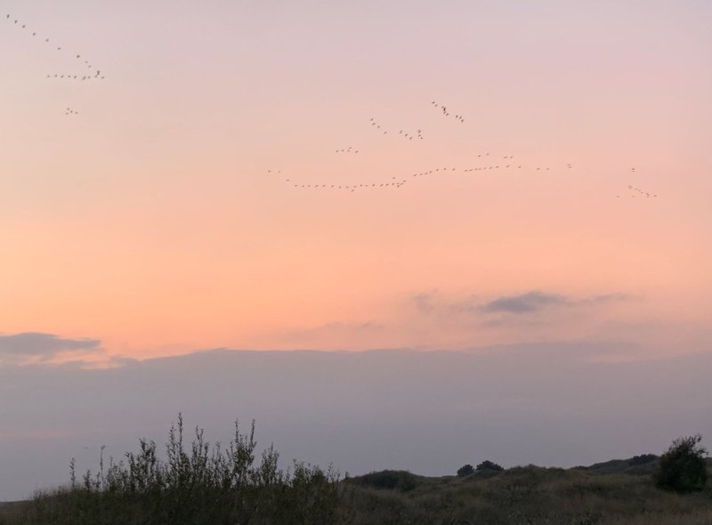 Ainsdale 9.jpg