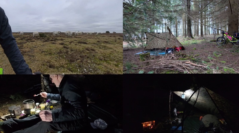 Jan Bivvy .jpg