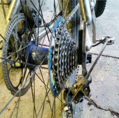 Whoops!