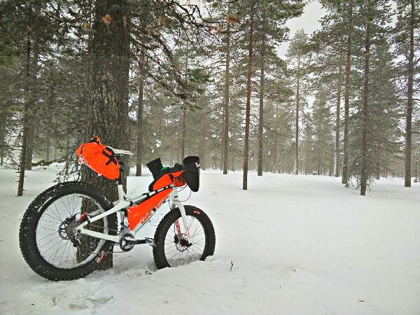 20150219_122910_HDR.jpg