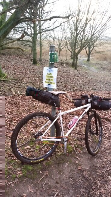 On One Inbred SS 29er