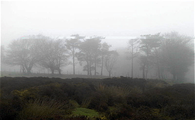 misty_pole_bank_cottage.jpg